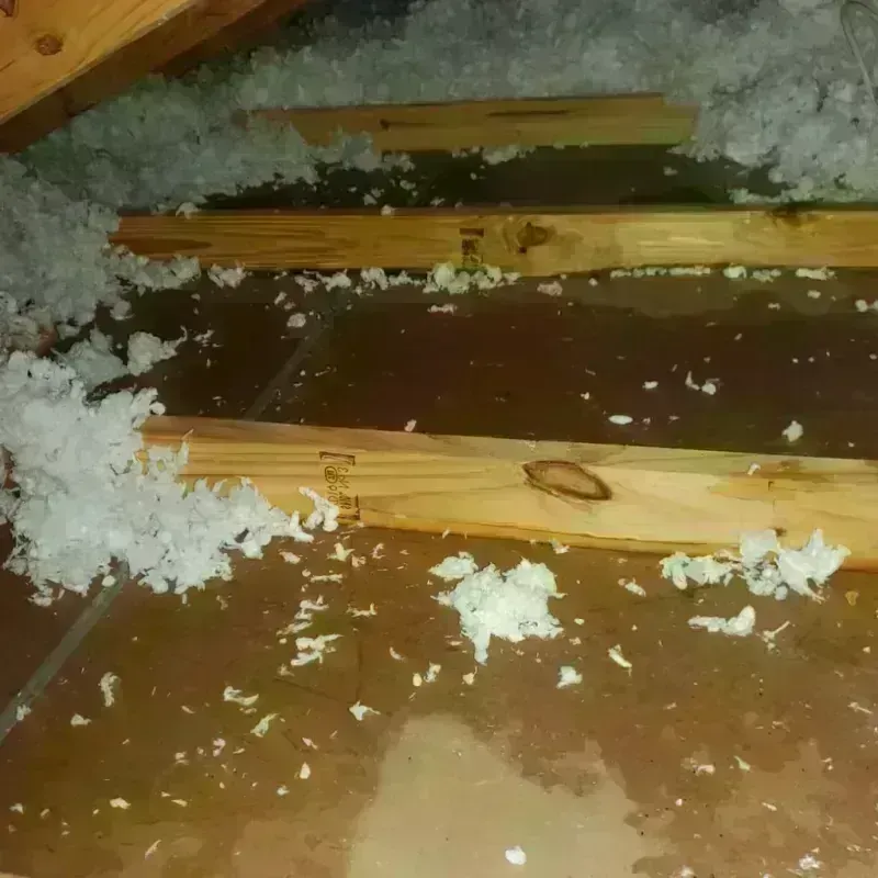 Attic Water Damage in Seminole County, OK