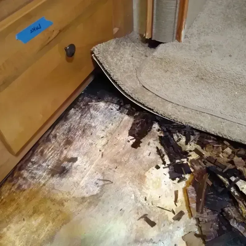 Wood Floor Water Damage in Seminole County, OK